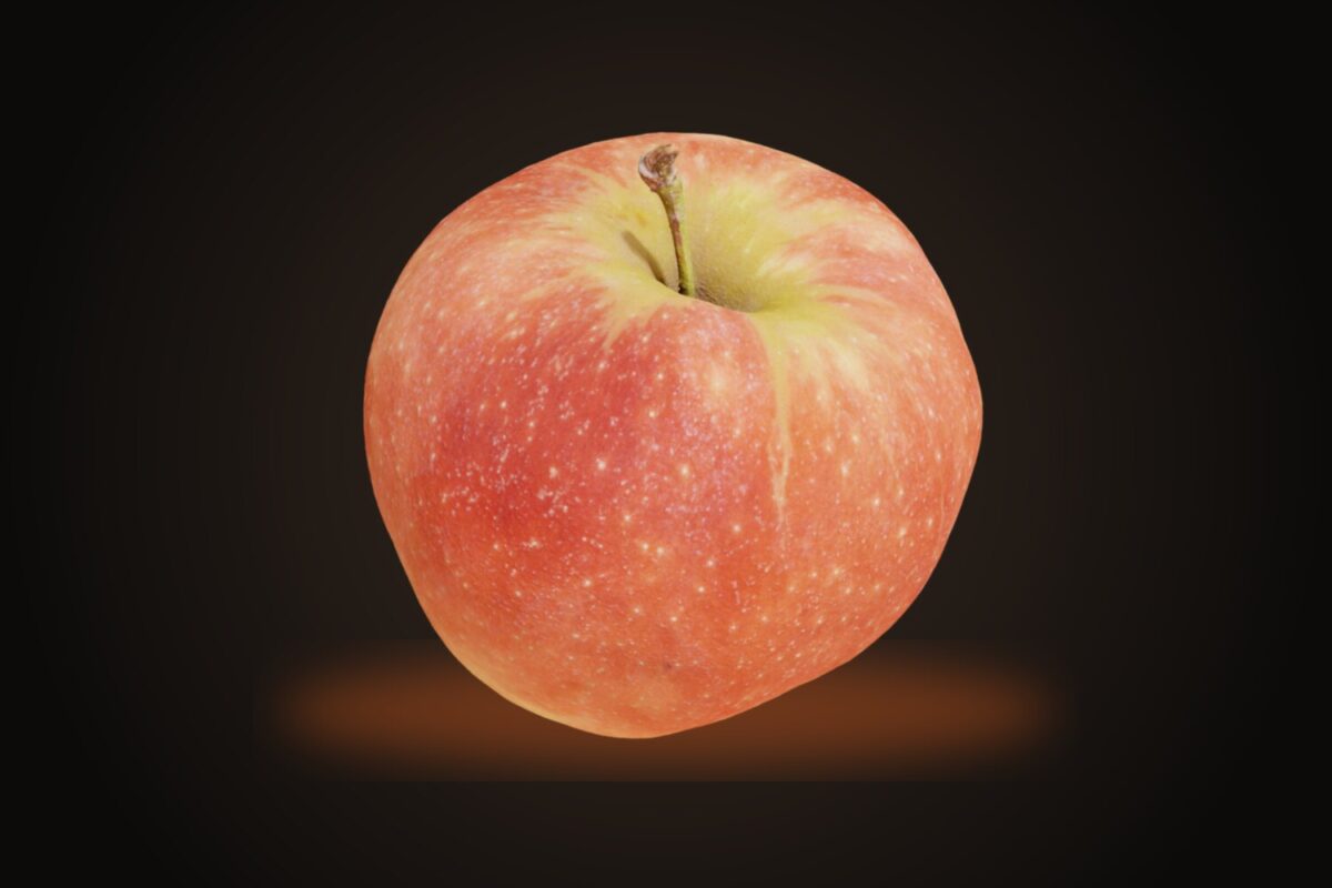 Apple 001 Model