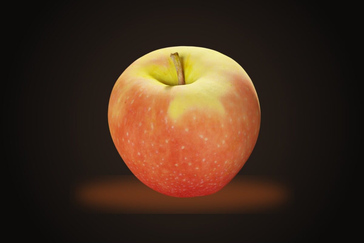 Apple 002 Model