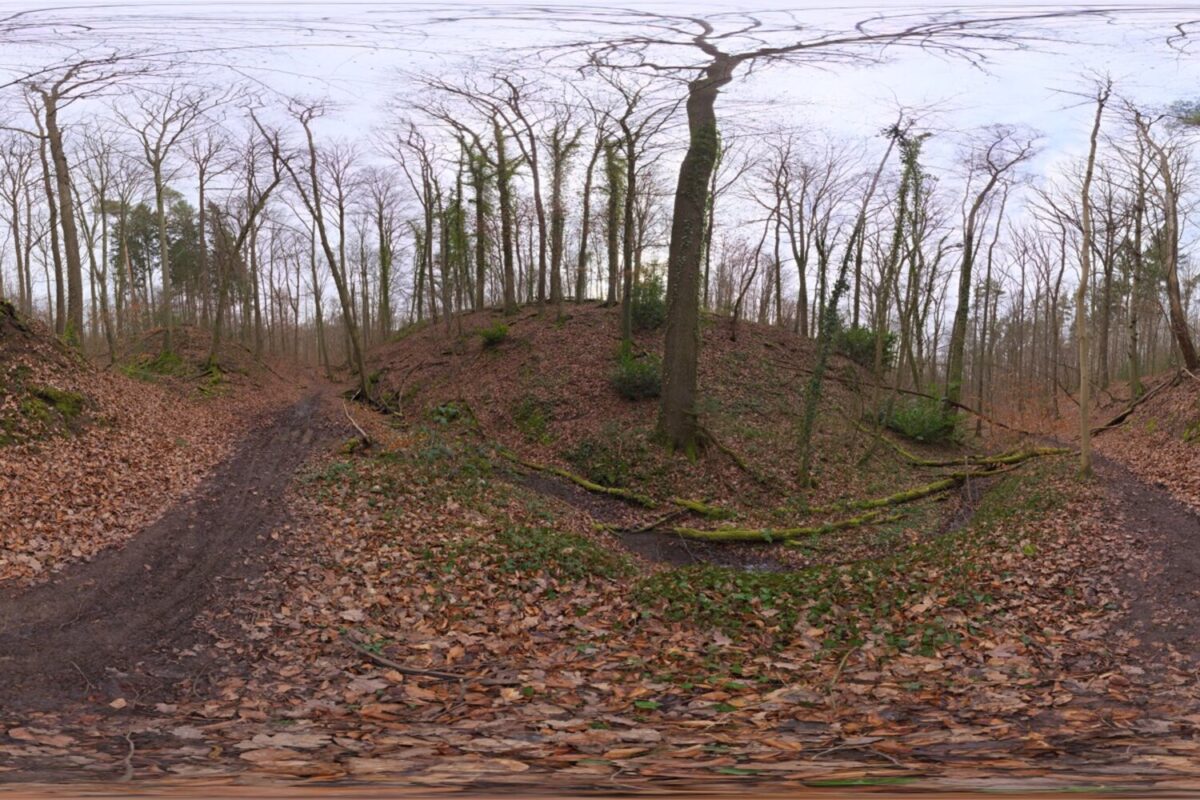 Autumn Forest 02 HDRI