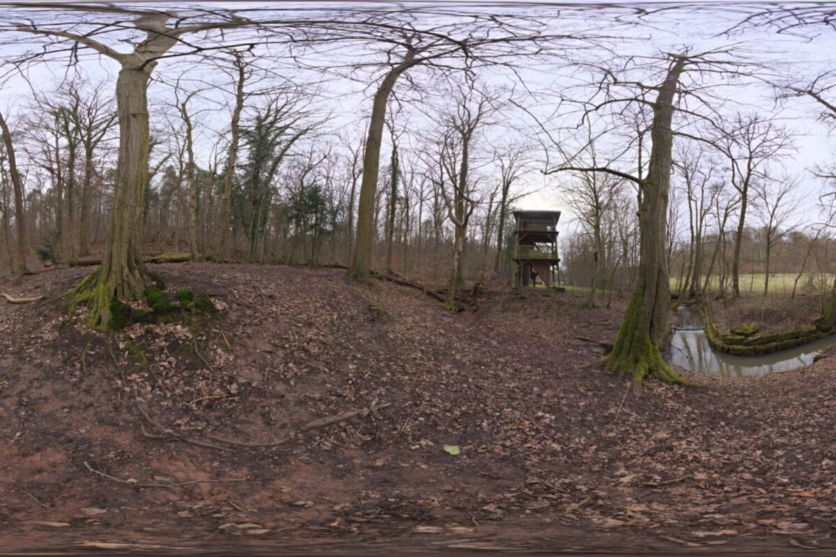 Autumn Forest 03 HDRI