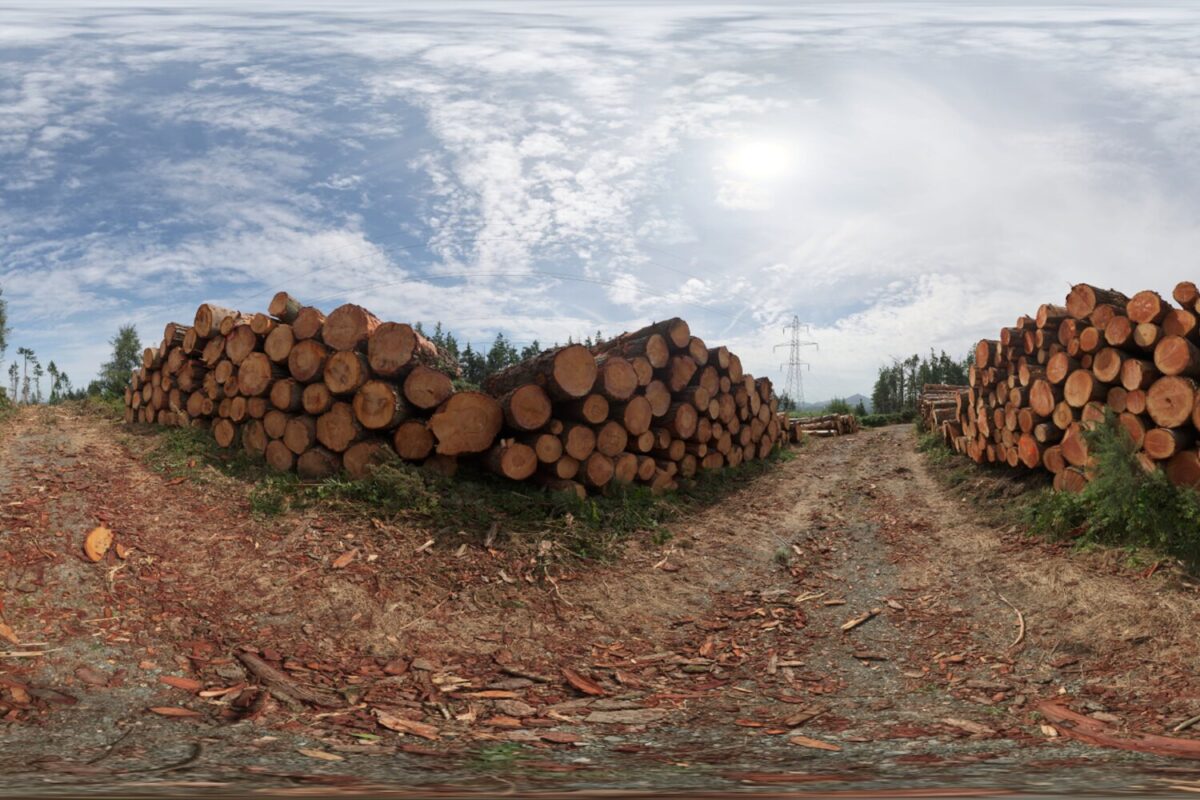 Barnaslingan 01 HDRI