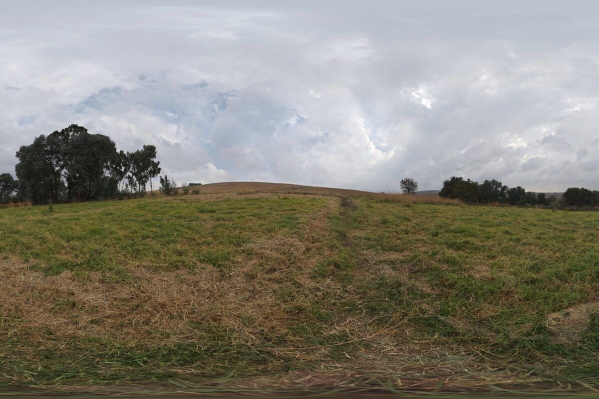 Belfast Open Field HDRI