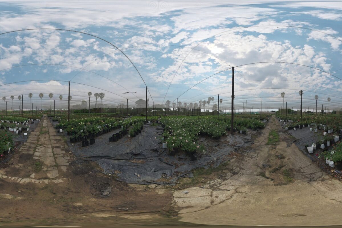Cloudy Netted Nursery HDRI