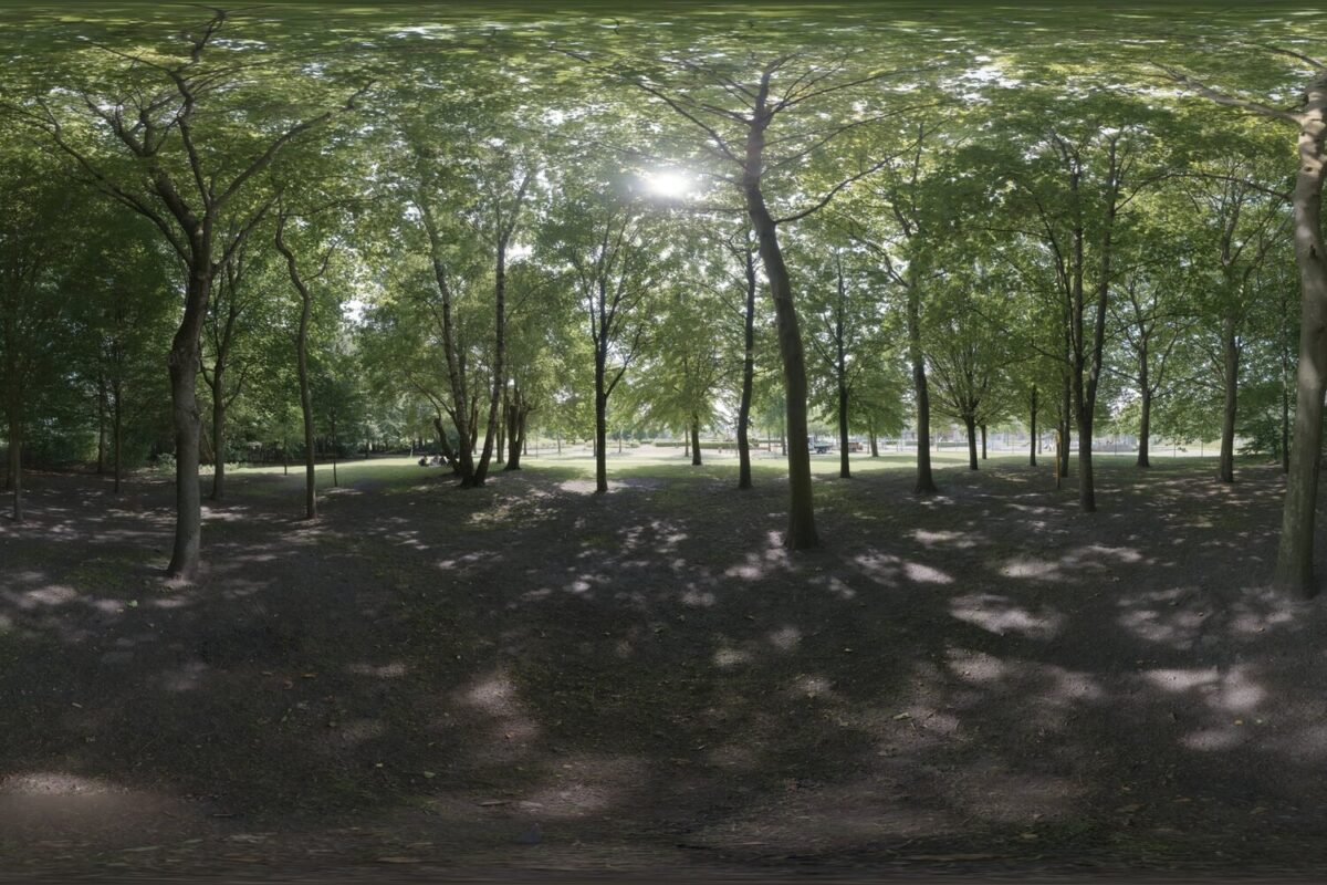 Day Environment HDRI 003