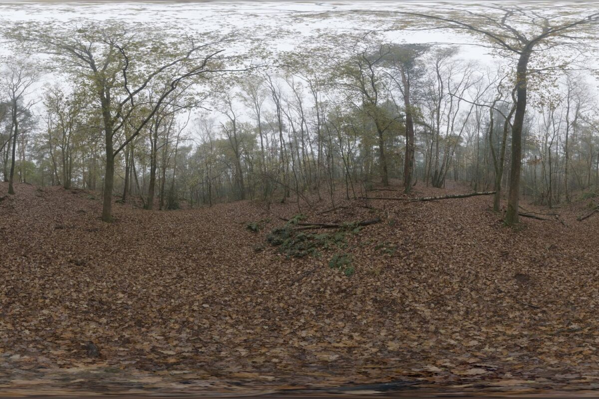 Day Environment HDRI 005