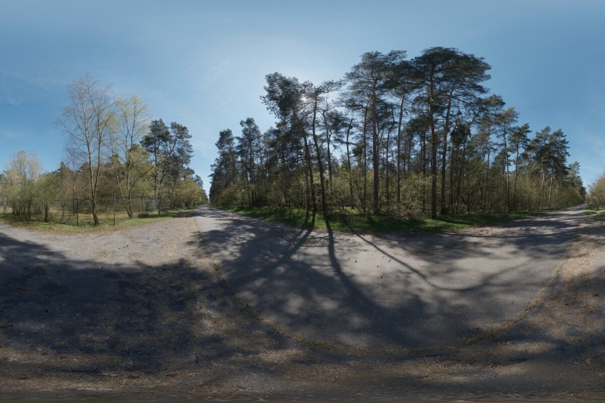 Day Environment HDRI 011
