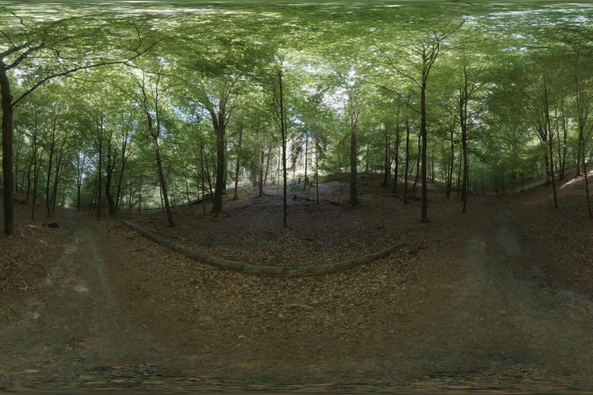 Day Environment HDRI 013