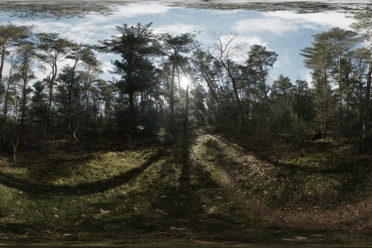 Day Environment HDRI 024