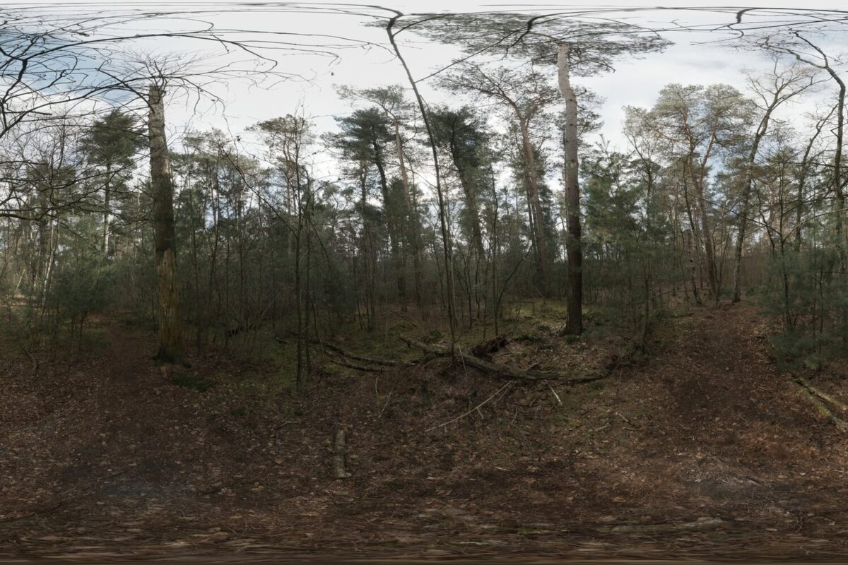 Day Environment HDRI 026