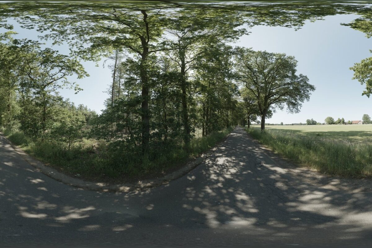 Day Environment HDRI 030