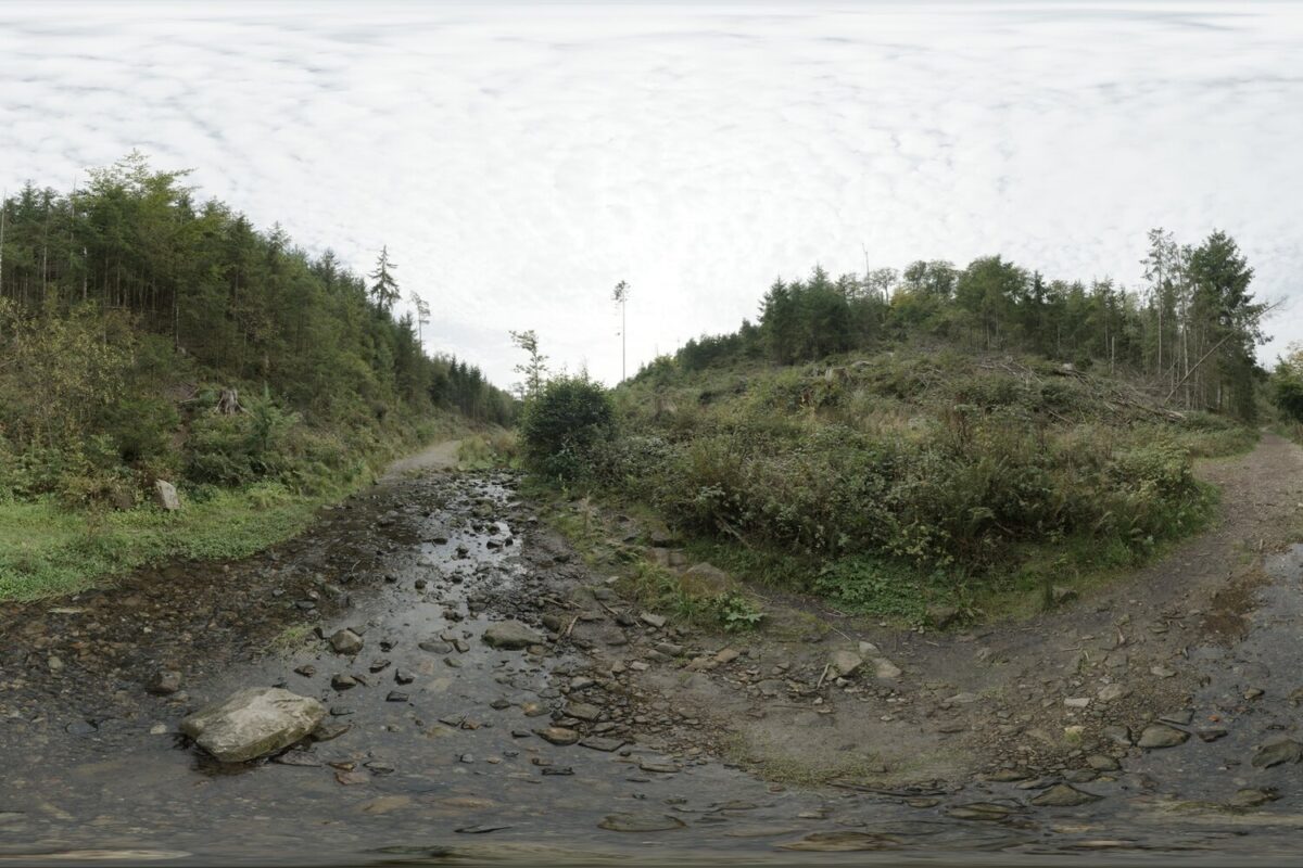 Day Environment HDRI 041