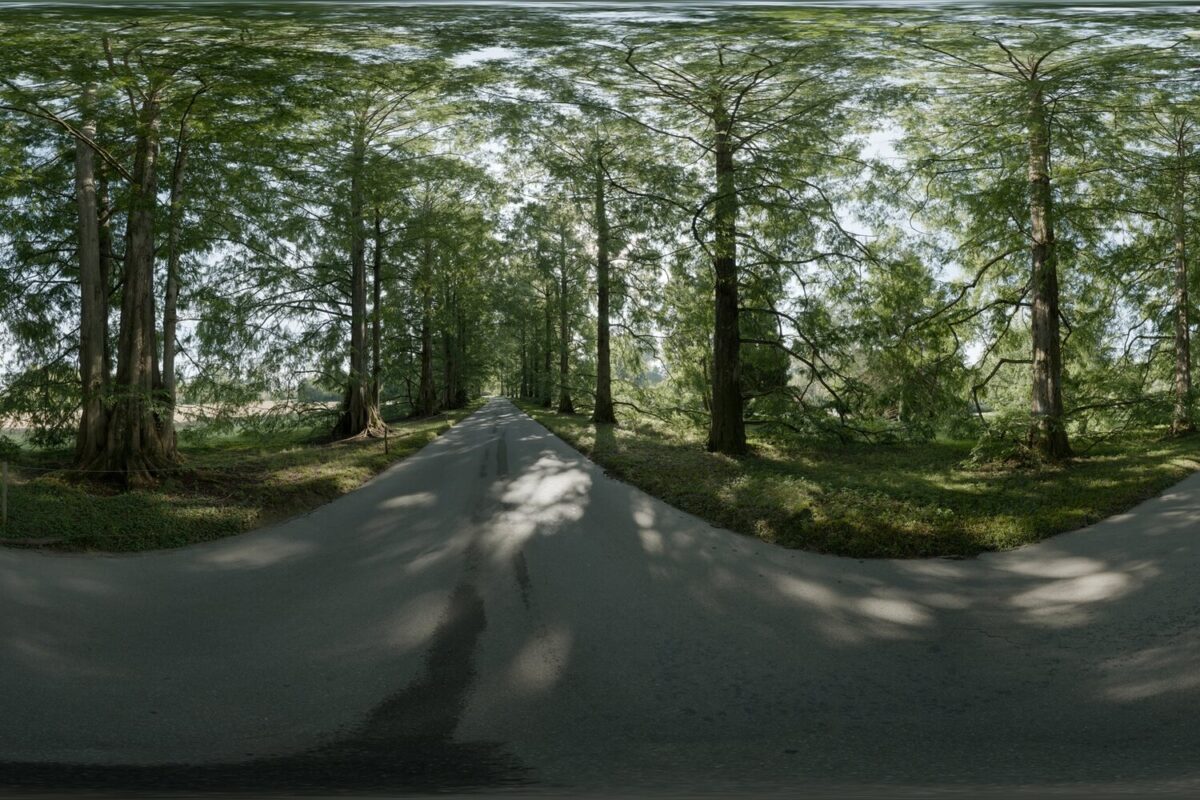 Day Environment HDRI 061