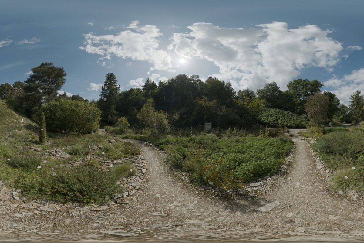 Day Environment HDRI 066