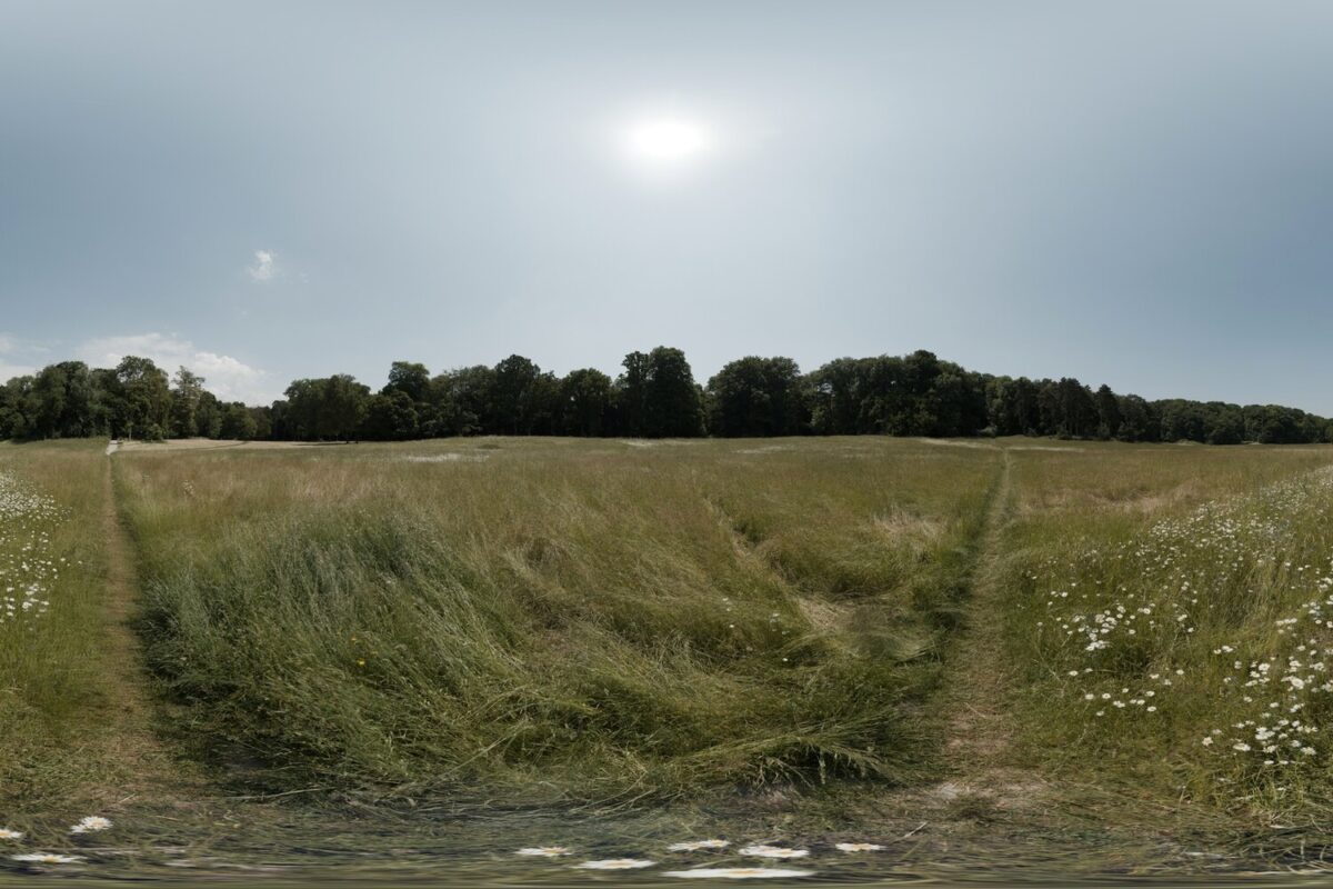 Day Environment HDRI 105