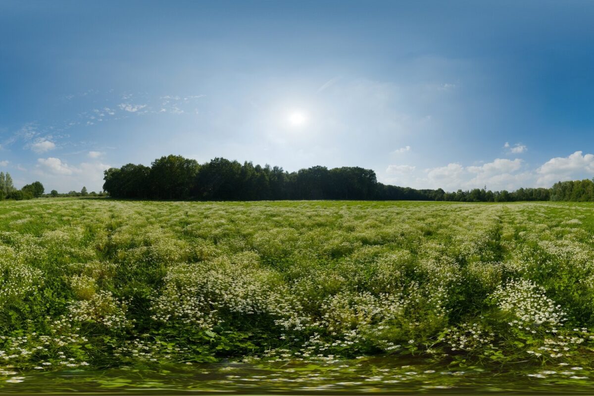 Day Environment HDRI 112