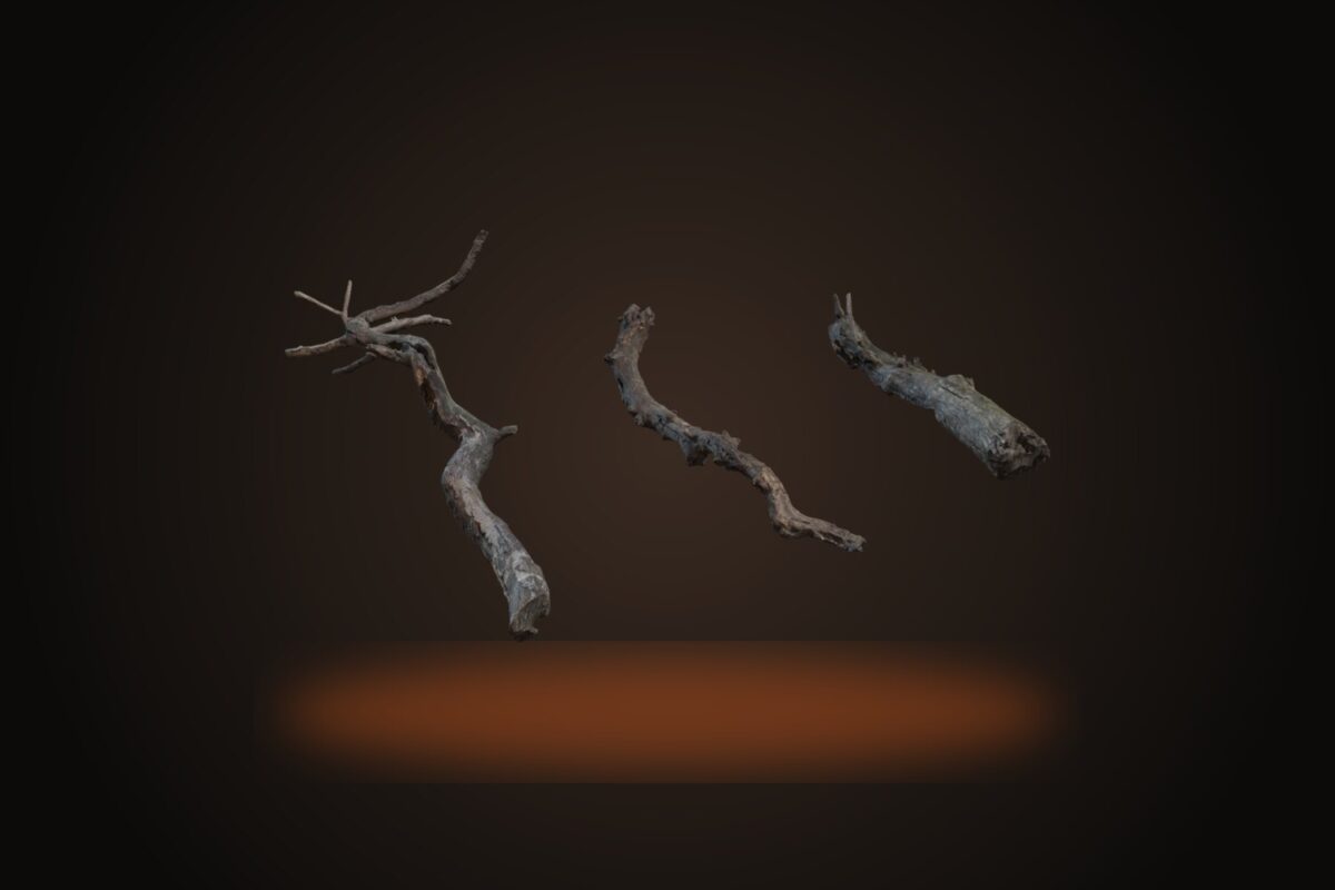 Dry Branches Medium 01 Model