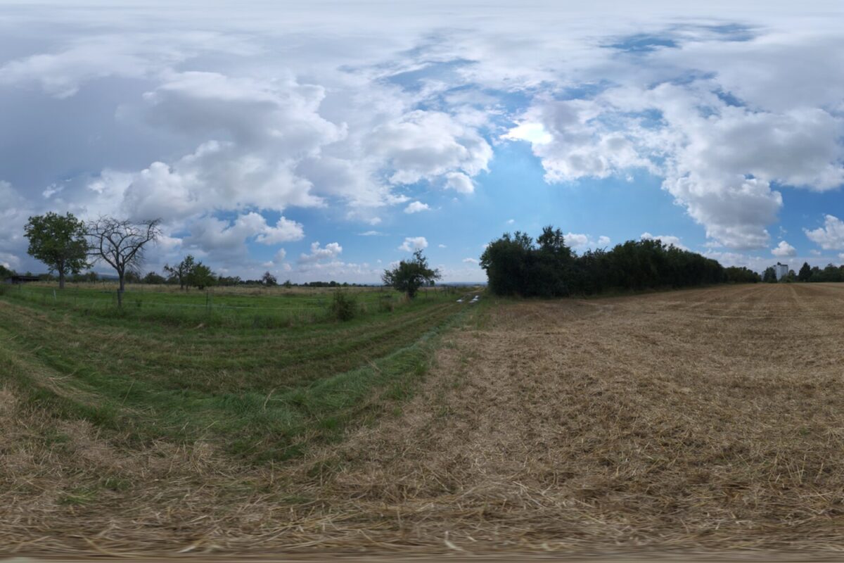 Dry Hay Field HDRI