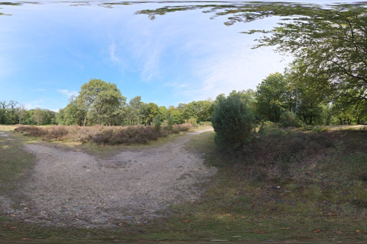 Epping Forest 02 HDRI