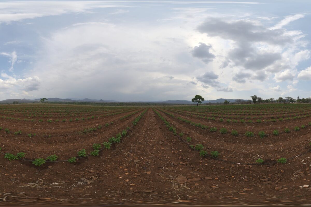 Farm Field HDRI