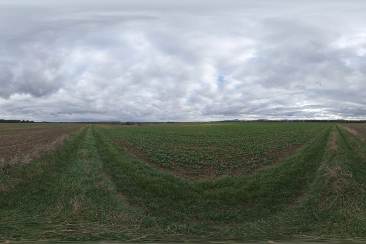 Farmland Overcast HDRI