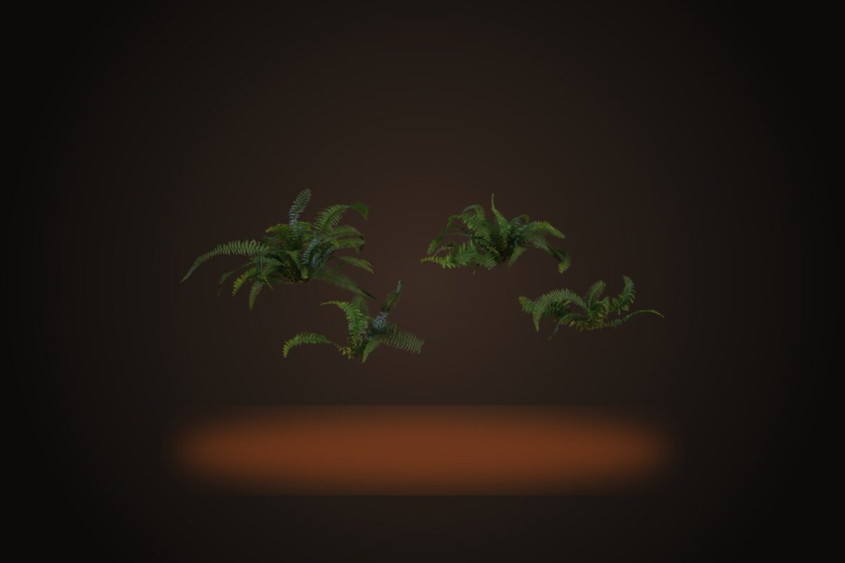 Fern 02 Model