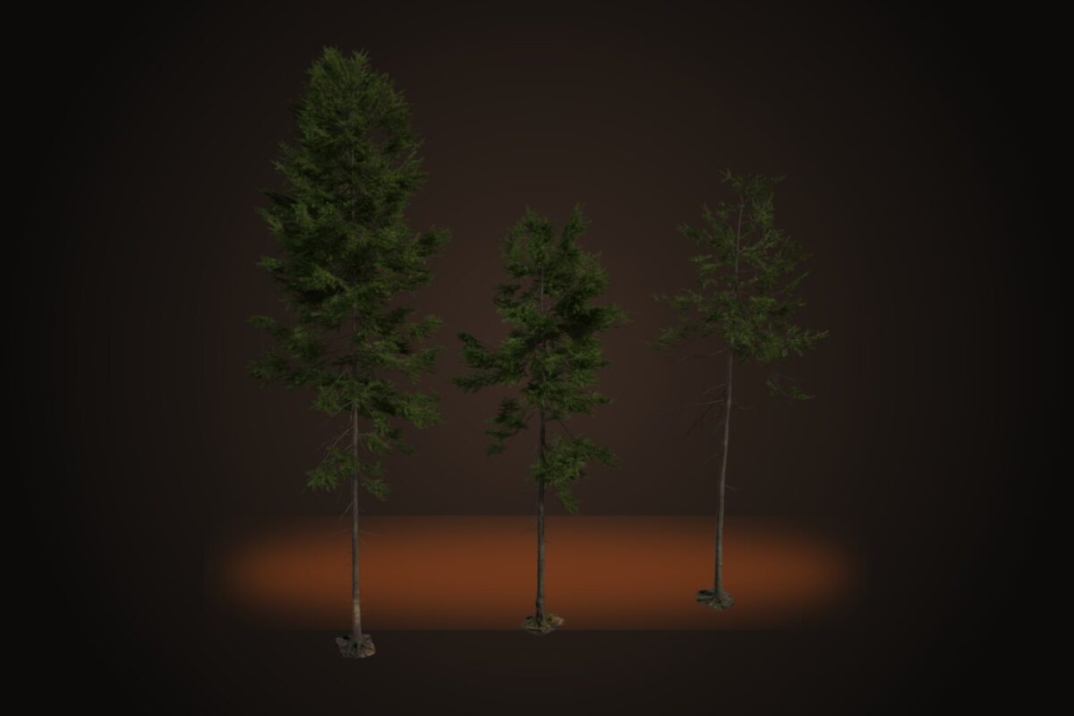 Fir Tree 01 Model