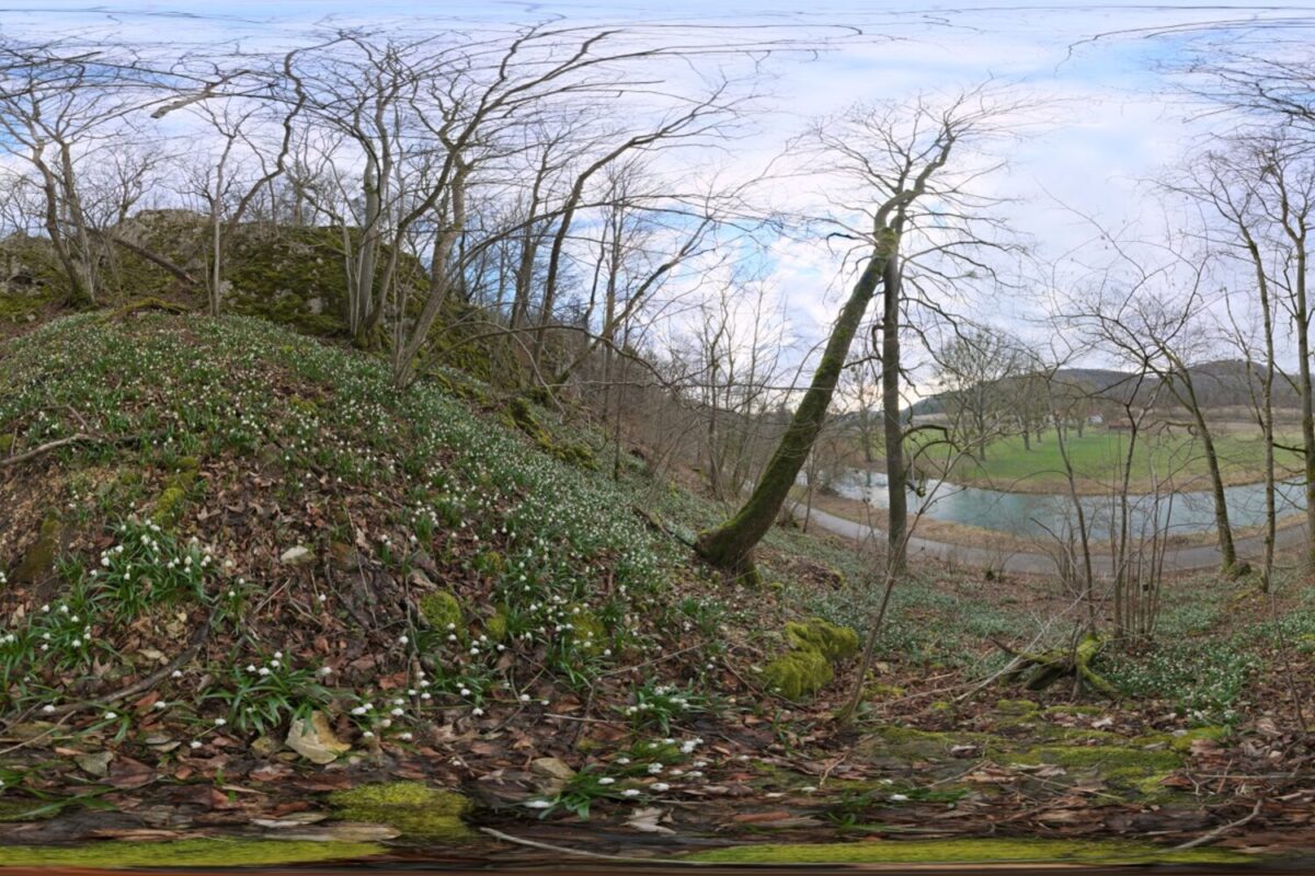 Flower Hillside HDRI