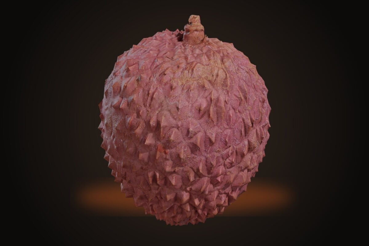 Food Lychee 01 Model