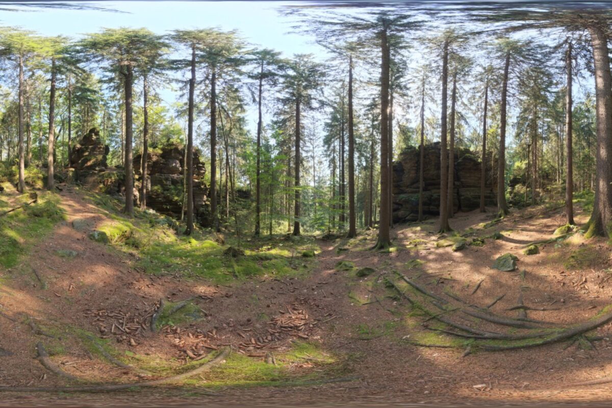 Forest Slope HDRI