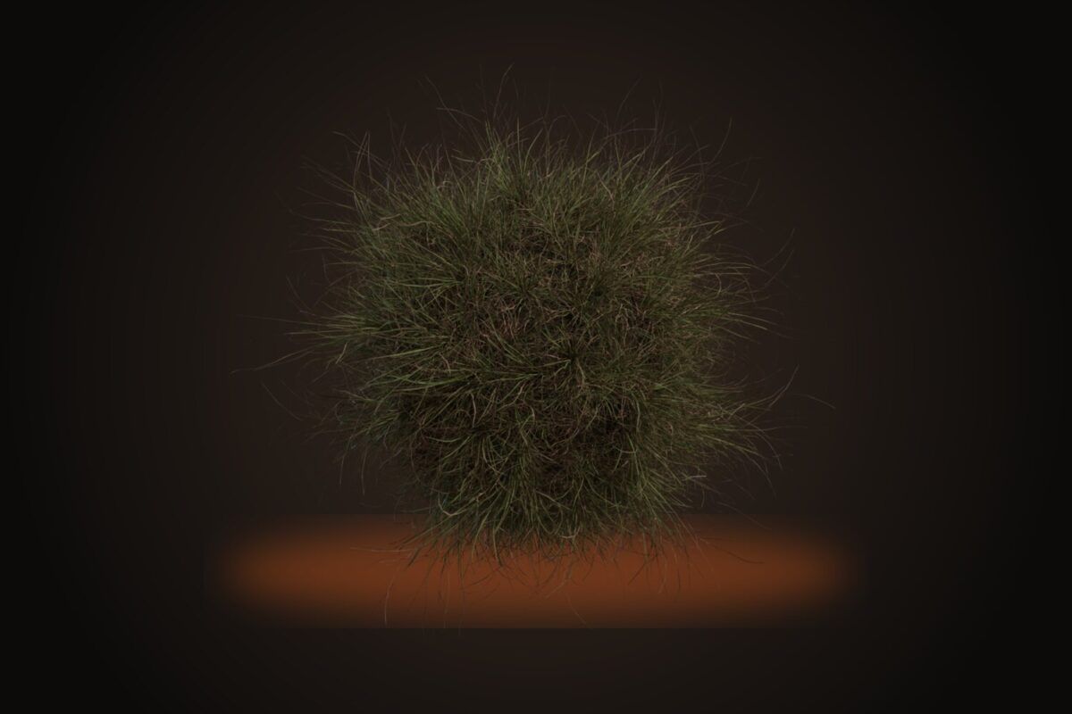 Grass Medium 02 Model