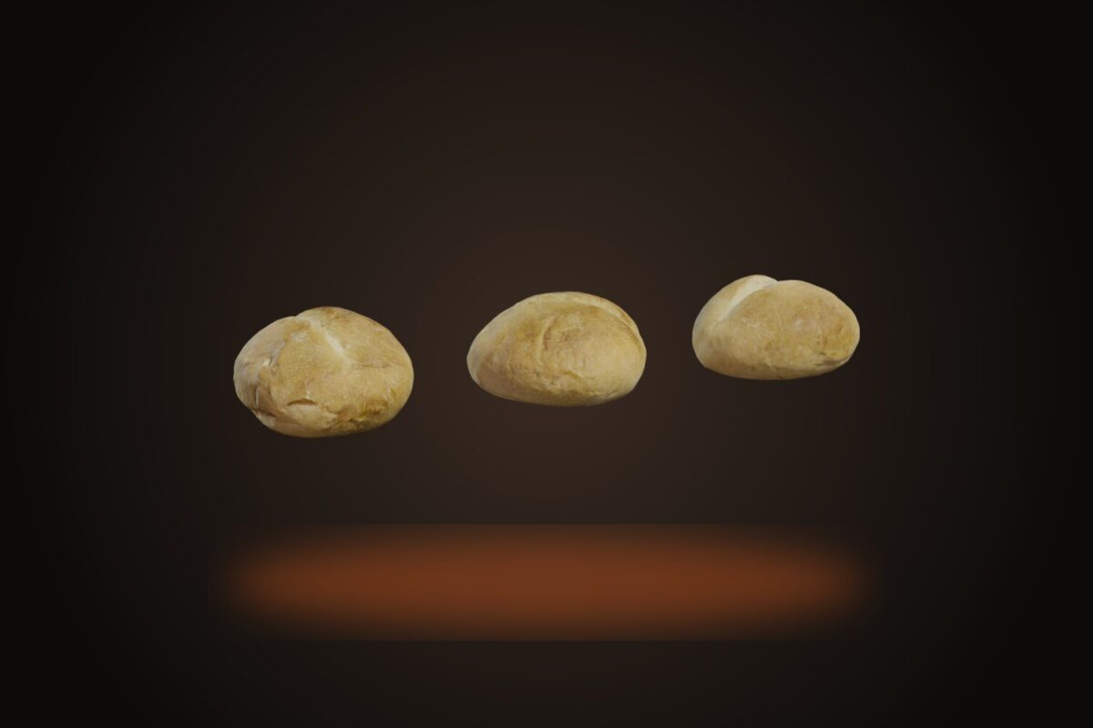 Hamburger Buns Model