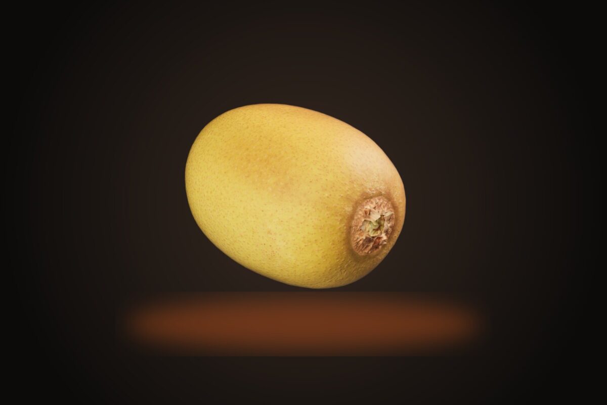 Kiwi 001 Model