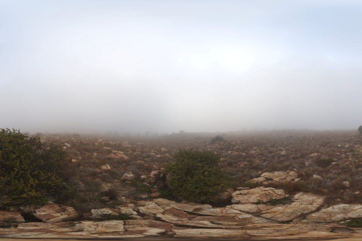 Kloofendal Misty Morning HDRI