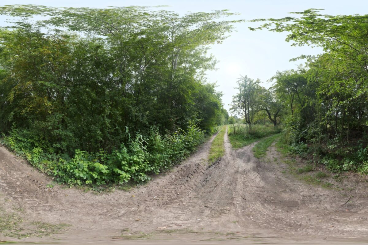 Lush Dirt Path HDRI