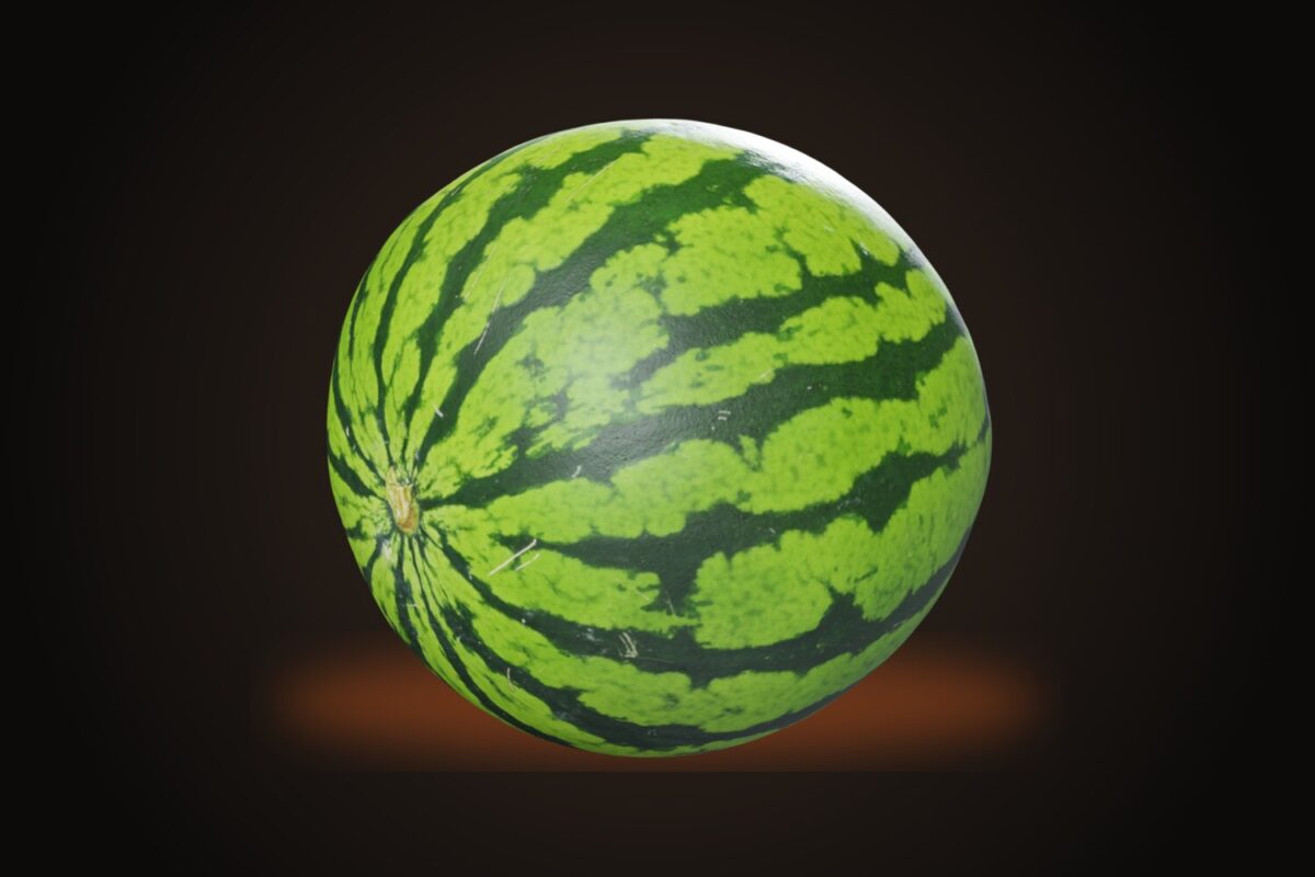 Melon 001 Model