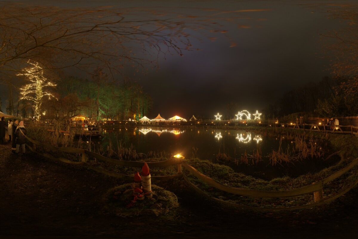 Night Environment HDRI 007