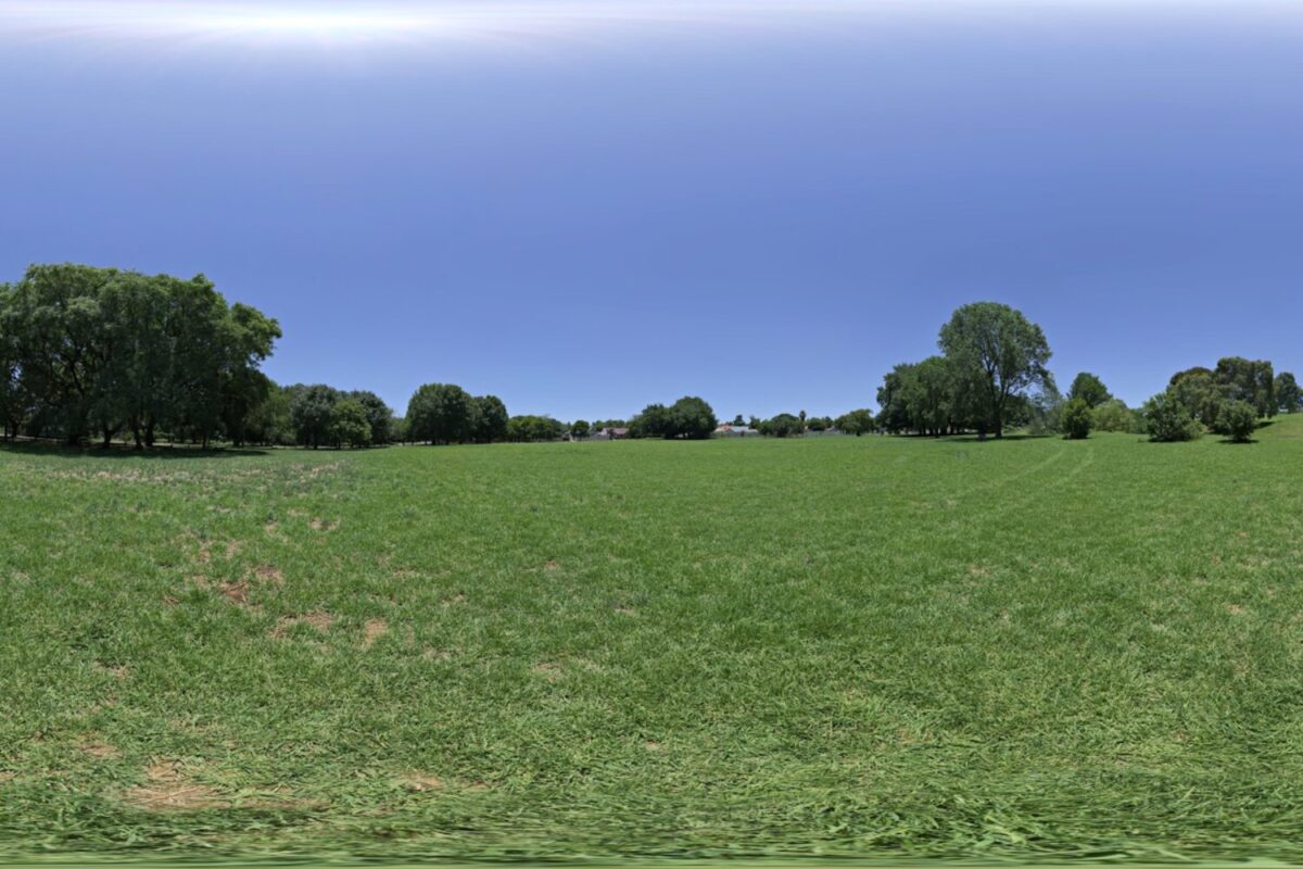Noon Grass HDRI