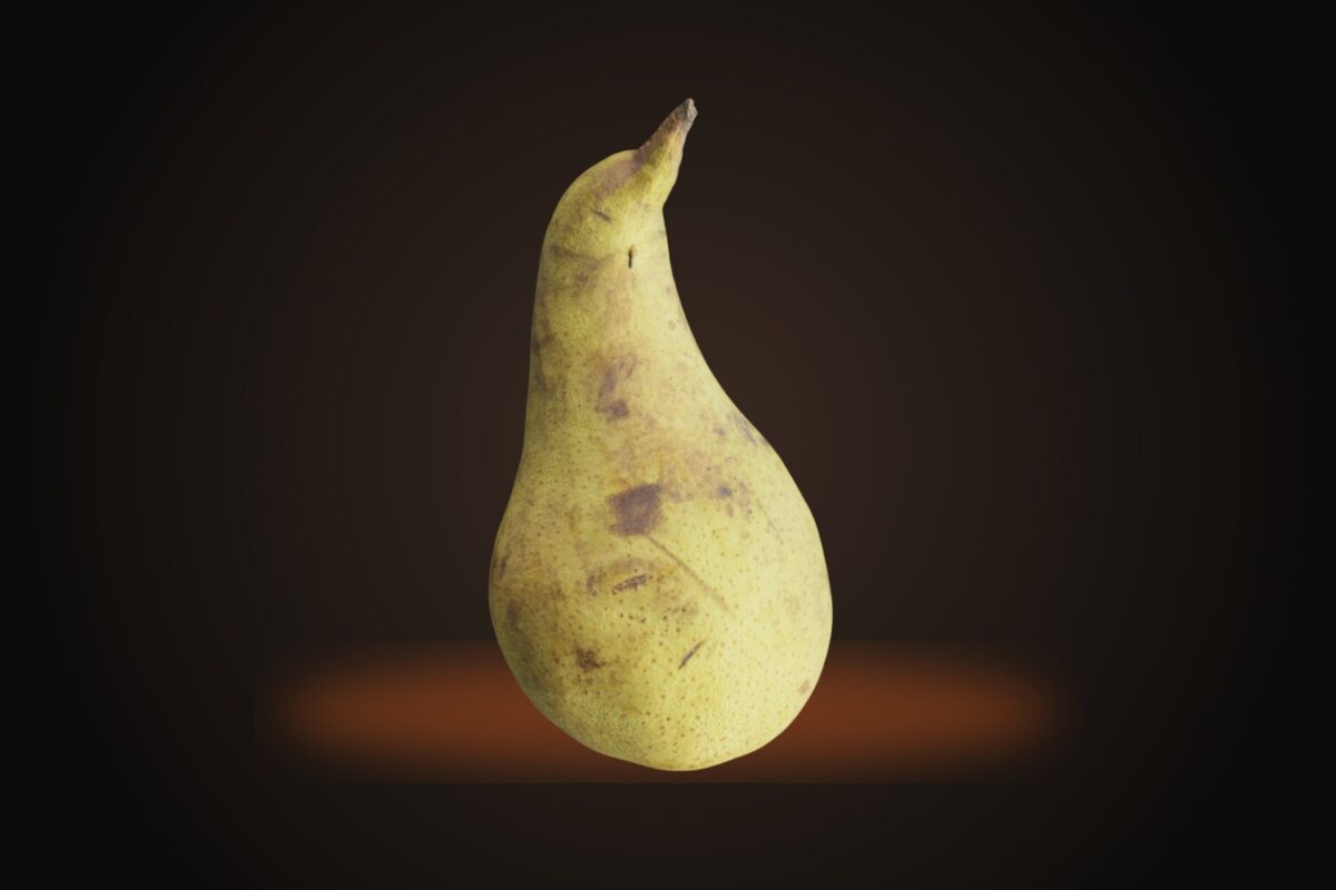 Pear 002 Model