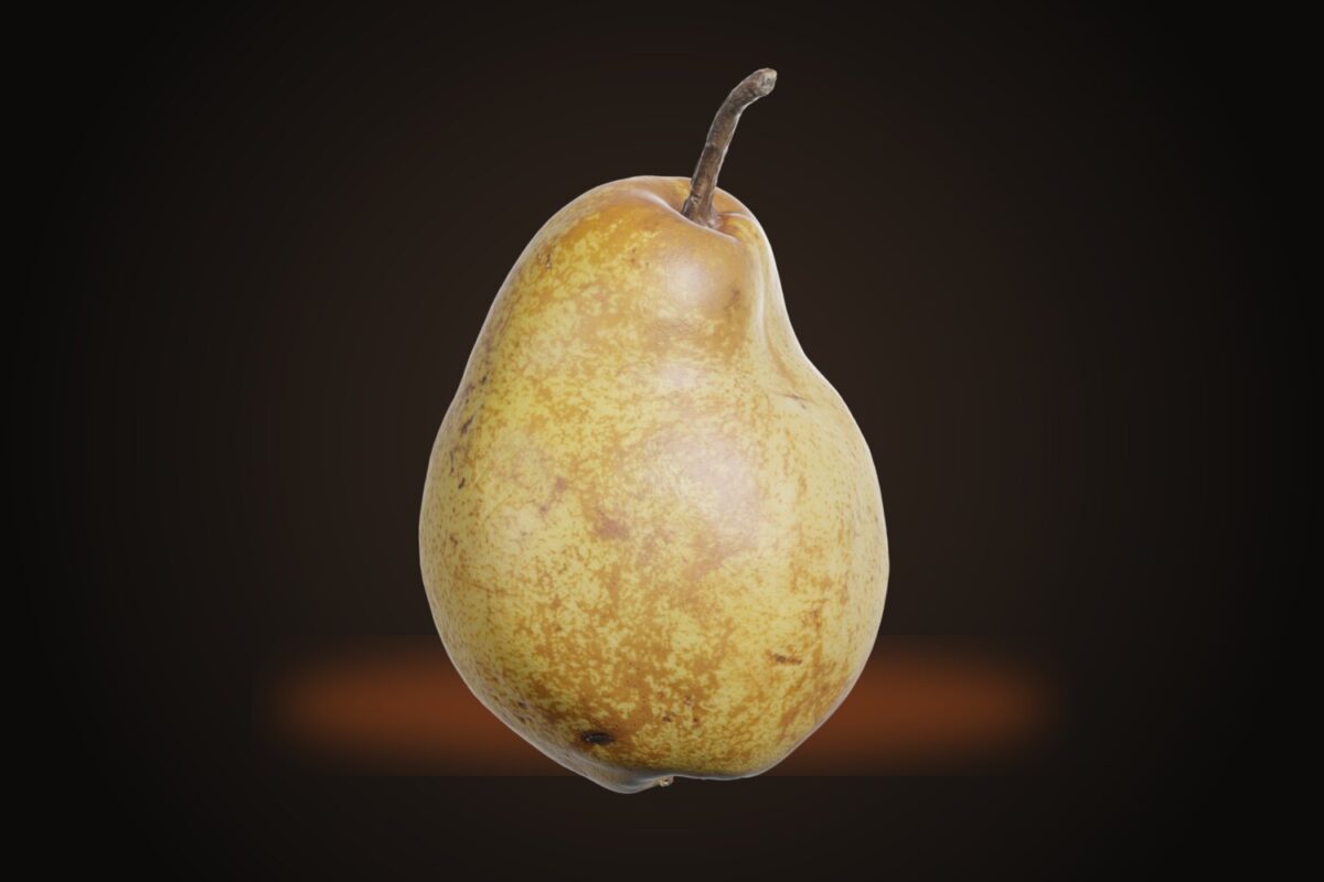 Pear 003 Model