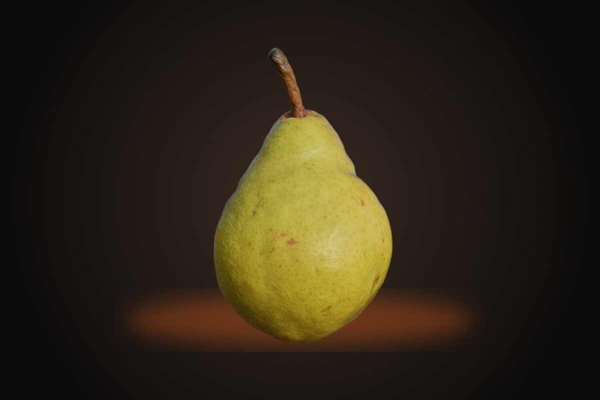 Pear 004 Model