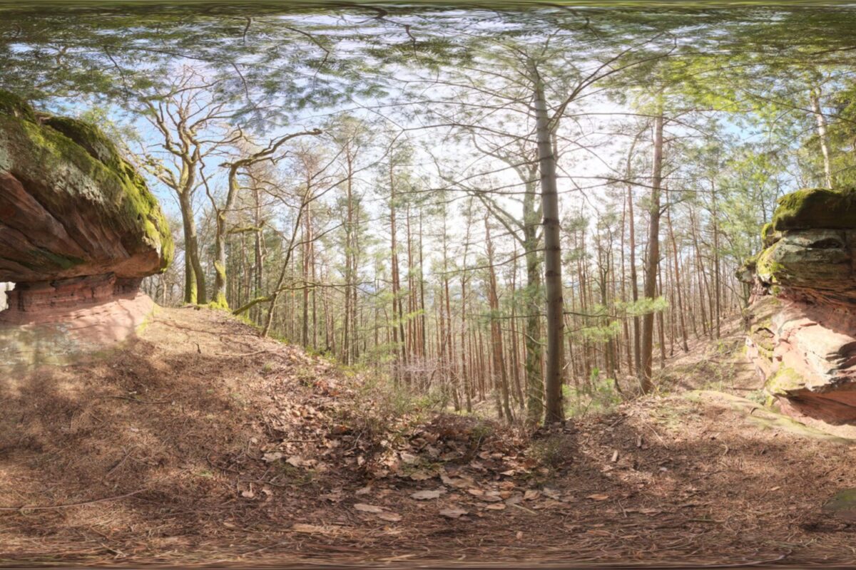 Pfälzer Forest 01 HDRI
