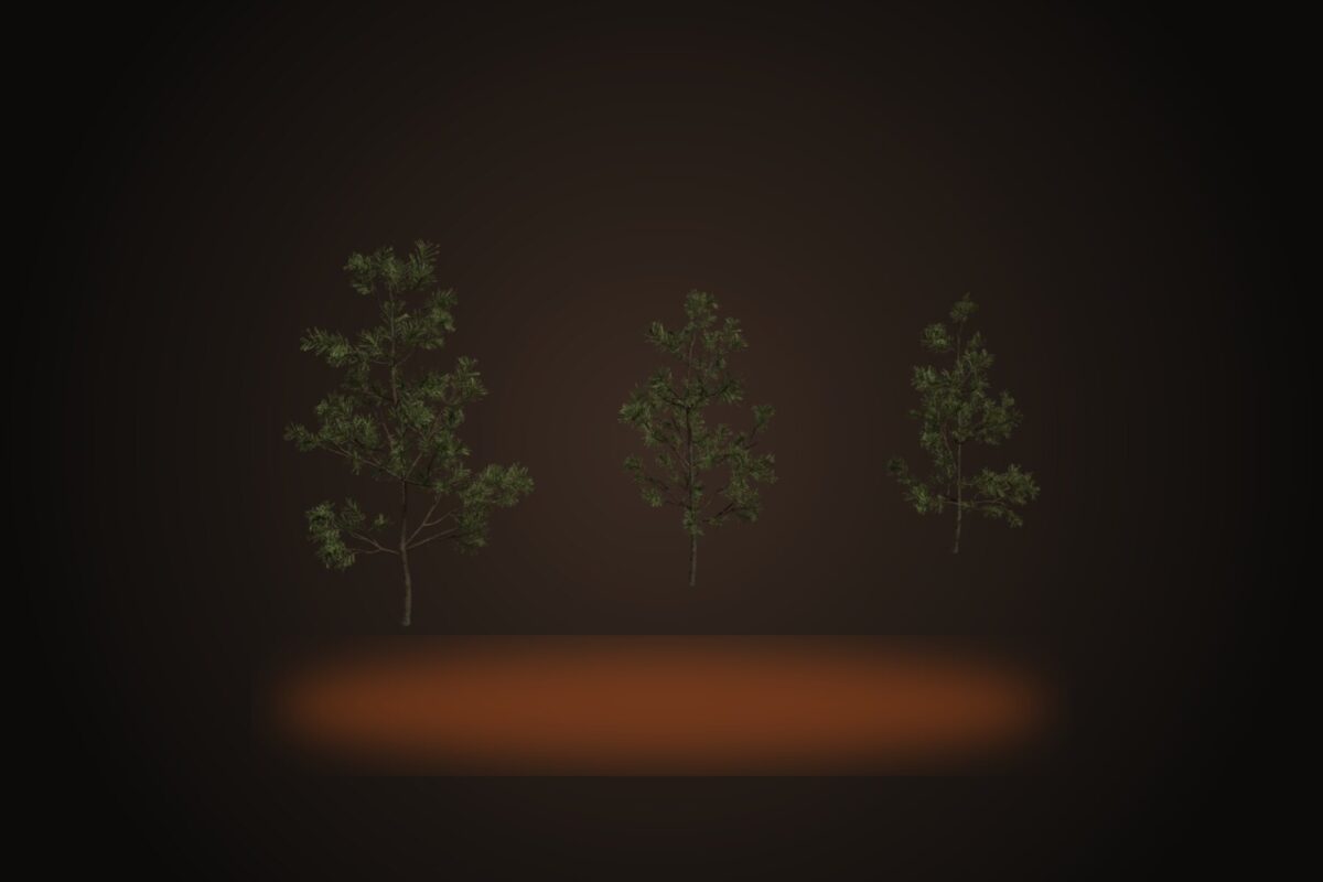 Pine Sapling Small Model
