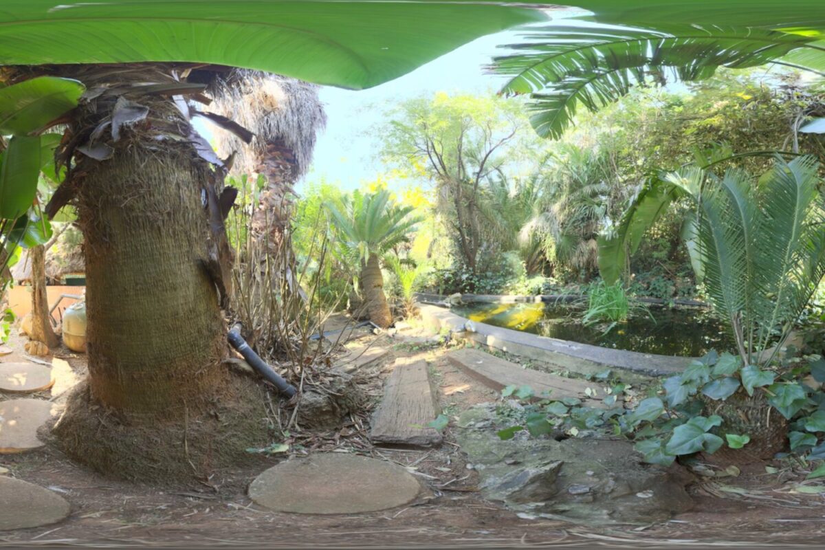 Pond HDRI
