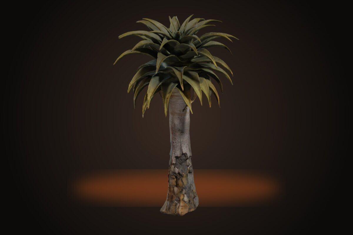 Quiver Tree 02 Model