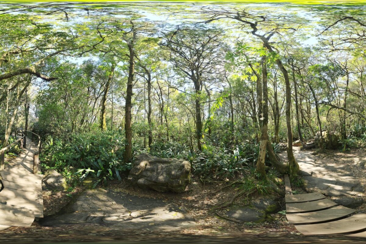Rainforest Trail HDRI