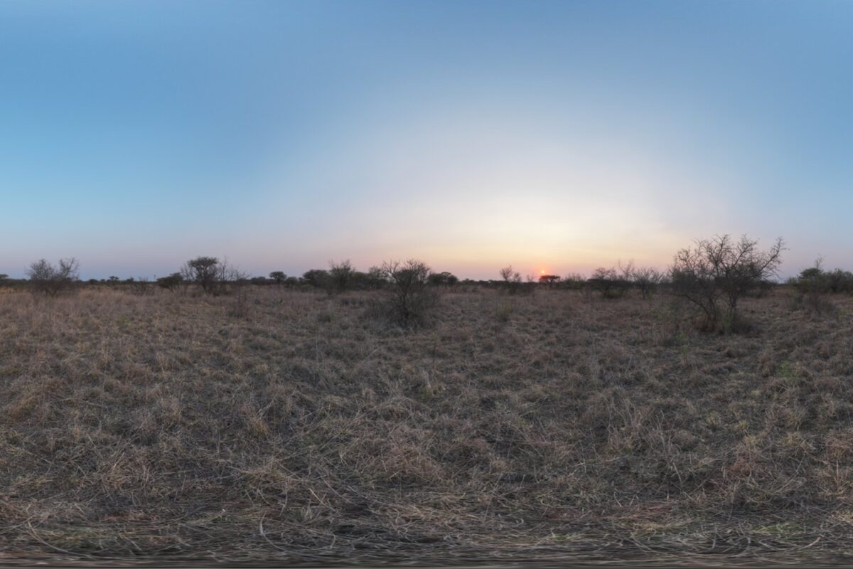 Safari Sunset HDRI