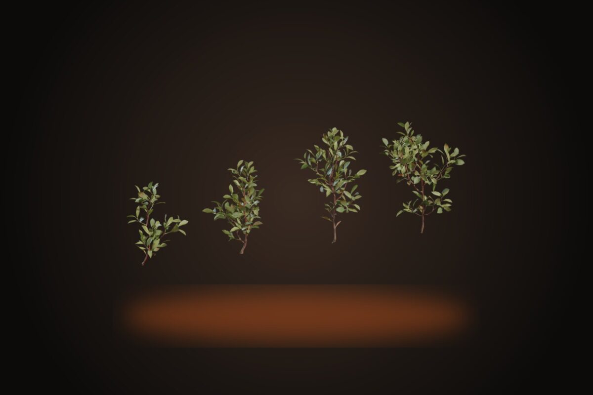 Shrub 04 Model
