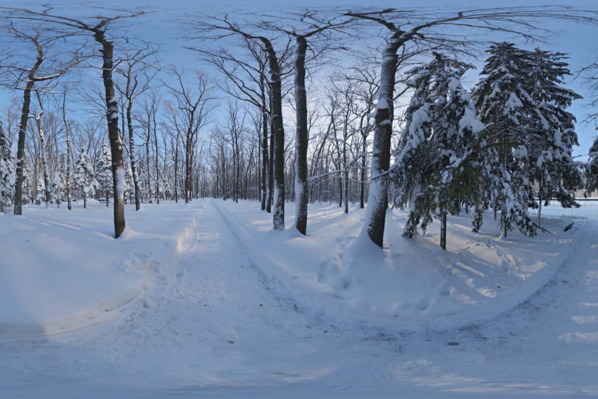 Snowy Forest Path 01 HDRI
