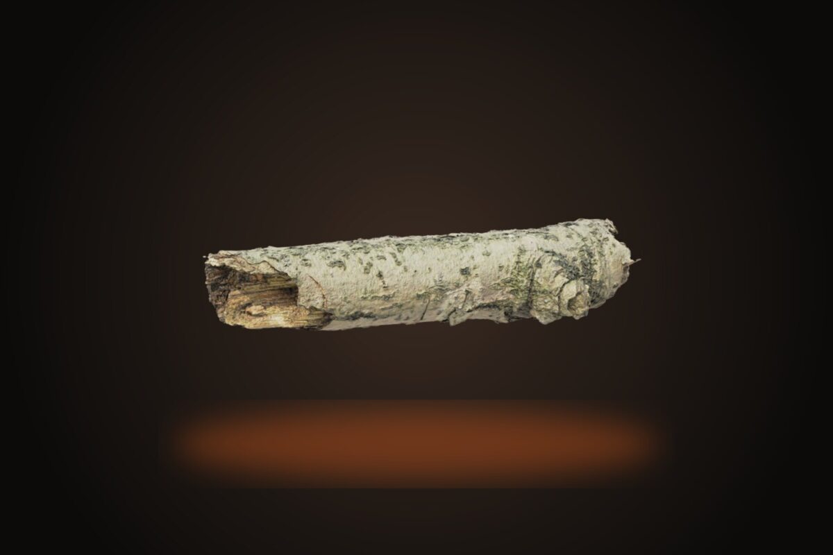 Stick 001 Model