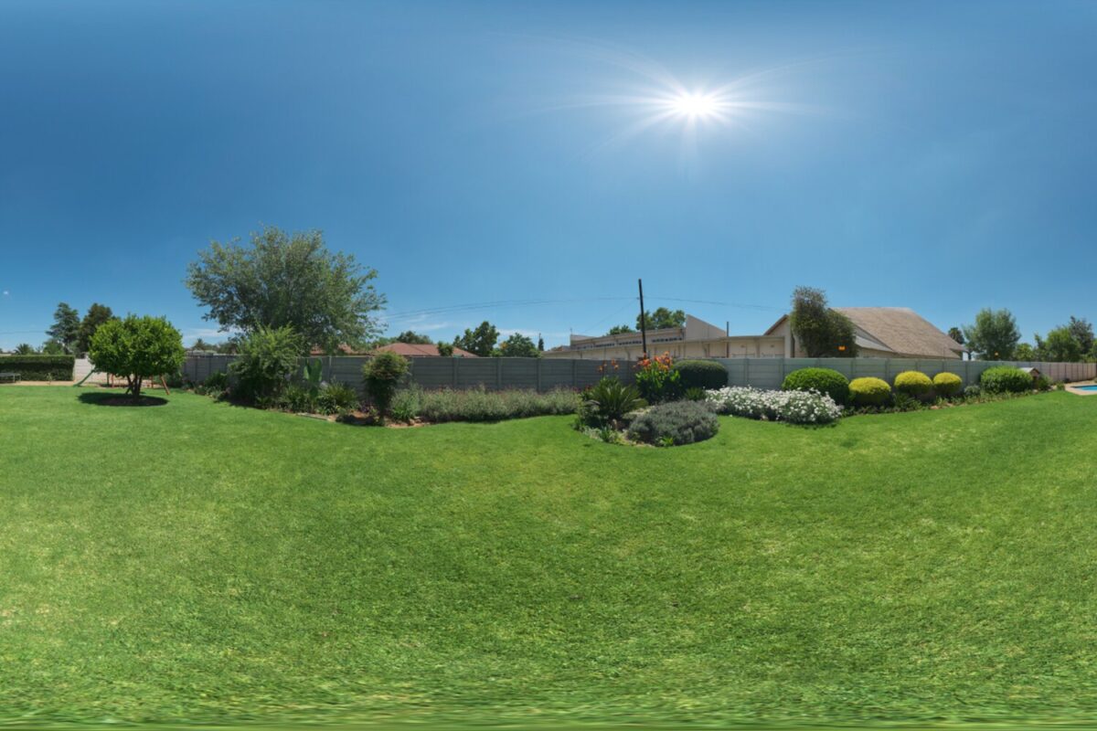 Suburban Garden HDRI